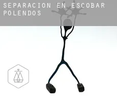 Separación en  Escobar de Polendos