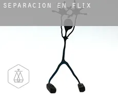 Separación en  Flix