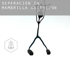Separación en  Mambrilla de Castrejón