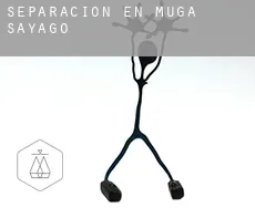 Separación en  Muga de Sayago