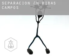 Separación en  Ribas de Campos
