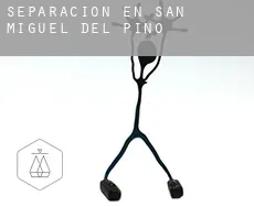 Separación en  San Miguel del Pino
