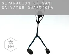 Separación en  Sant Salvador de Guardiola