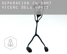 Separación en  Sant Vicenç dels Horts
