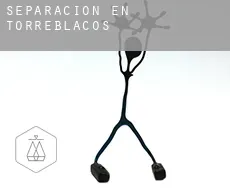 Separación en  Torreblacos