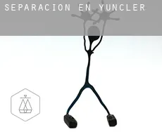 Separación en  Yuncler
