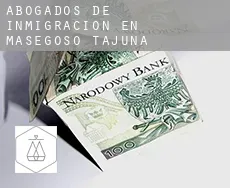 Abogados de inmigración en  Masegoso de Tajuña