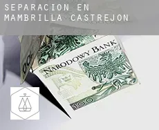 Separación en  Mambrilla de Castrejón