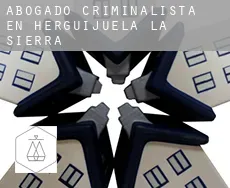 Abogado criminalista en Herguijuela de la Sierra