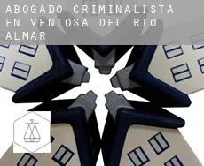 Abogado criminalista en  Ventosa del Río Almar