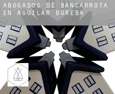 Abogados de bancarrota en  Aguilar de Bureba