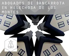 Abogados de bancarrota en  Helechosa de los Montes