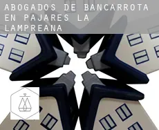 Abogados de bancarrota en  Pajares de la Lampreana