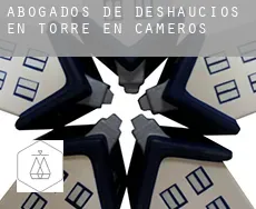 Abogados de deshaucios en  Torre en Cameros