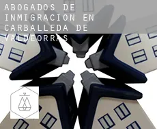 Abogados de inmigración en  Carballeda de Valdeorras