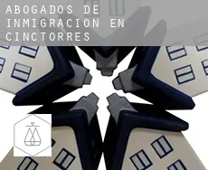 Abogados de inmigración en  Cinctorres