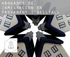 Abogados de inmigración en  Passanant i Belltall