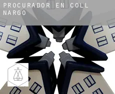 Procurador en  Coll de Nargó