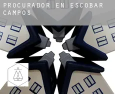 Procurador en  Escobar de Campos