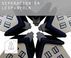 Separación en  l'Espunyola