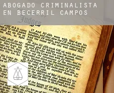 Abogado criminalista en  Becerril de Campos
