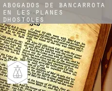 Abogados de bancarrota en  les Planes d'Hostoles