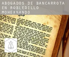 Abogados de bancarrota en Robledillo de Mohernando