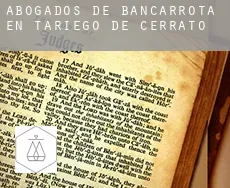 Abogados de bancarrota en  Tariego de Cerrato