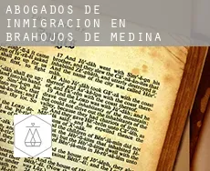 Abogados de inmigración en  Brahojos de Medina
