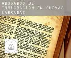 Abogados de inmigración en  Cuevas Labradas