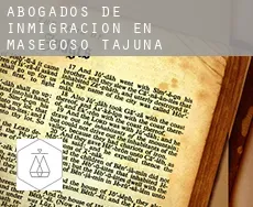 Abogados de inmigración en  Masegoso de Tajuña