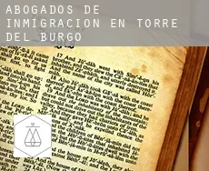 Abogados de inmigración en  Torre del Burgo