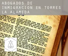 Abogados de inmigración en  Torres de la Alameda