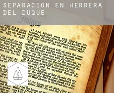 Separación en  Herrera del Duque