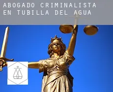 Abogado criminalista en  Tubilla del Agua