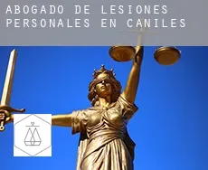 Abogado de lesiones personales en  Caniles