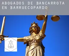 Abogados de bancarrota en  Barruecopardo