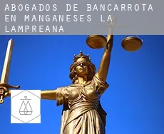 Abogados de bancarrota en  Manganeses de la Lampreana