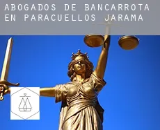 Abogados de bancarrota en  Paracuellos de Jarama
