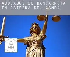 Abogados de bancarrota en  Paterna del Campo