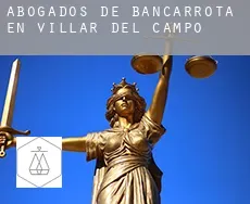 Abogados de bancarrota en  Villar del Campo