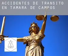 Accidentes de tránsito en  Támara de Campos