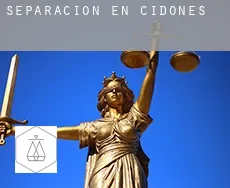 Separación en  Cidones