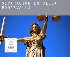Separación en  Olesa de Bonesvalls