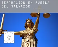 Separación en  Puebla del Salvador