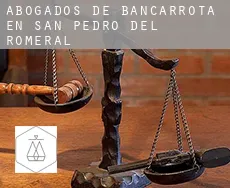Abogados de bancarrota en  San Pedro del Romeral