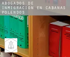 Abogados de inmigración en  Cabañas de Polendos