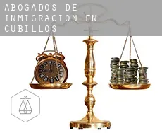 Abogados de inmigración en  Cubillos