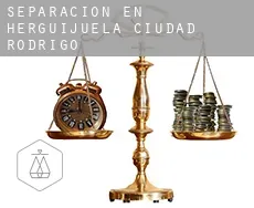 Separación en  Herguijuela de Ciudad Rodrigo