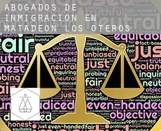Abogados de inmigración en  Matadeón de los Oteros